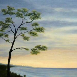 Arbol de Costa