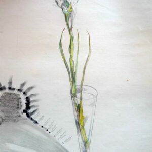 Naturaleza Muerta...