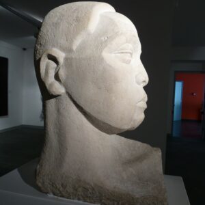 Cabeza de negro