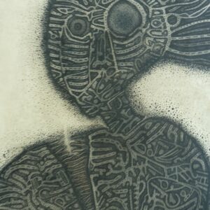 Bruja Descosida