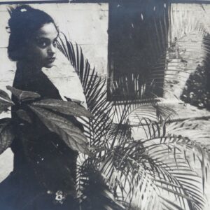 Zaida