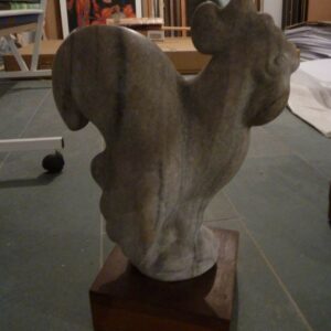 Gallo