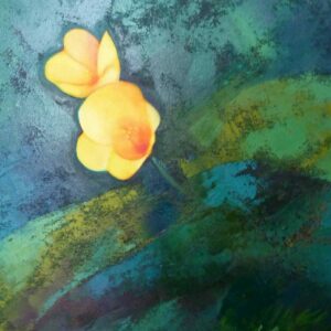 Ilusion Floral
