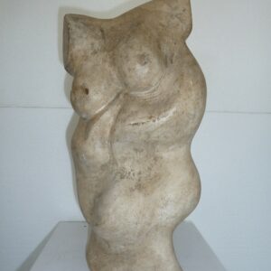 Torso